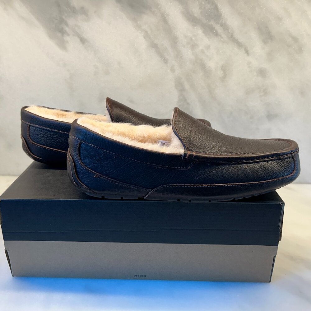 Men’s Ugg Ascot Slipper